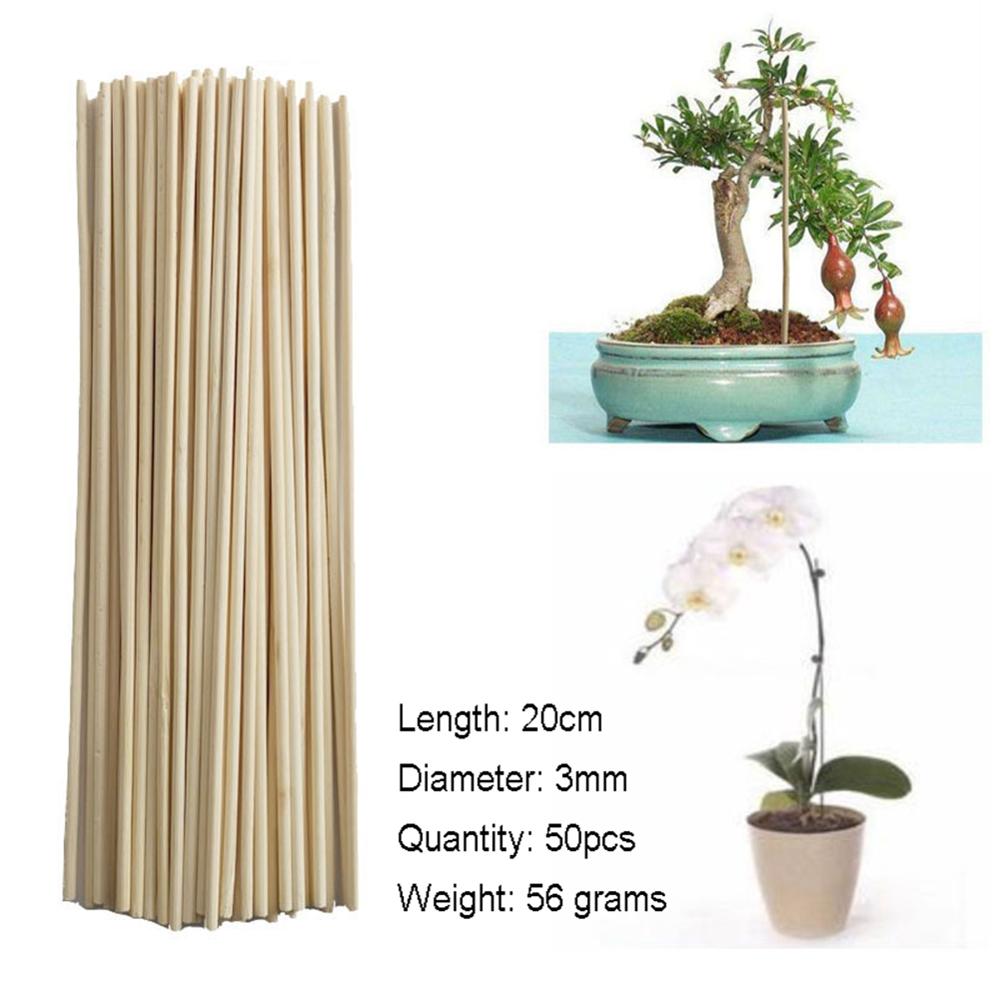 50 Stuks Bamboe Plant Grow Ondersteuning Sticks Tuin Bamboe Planten Stand Stok Outdoor Tuin