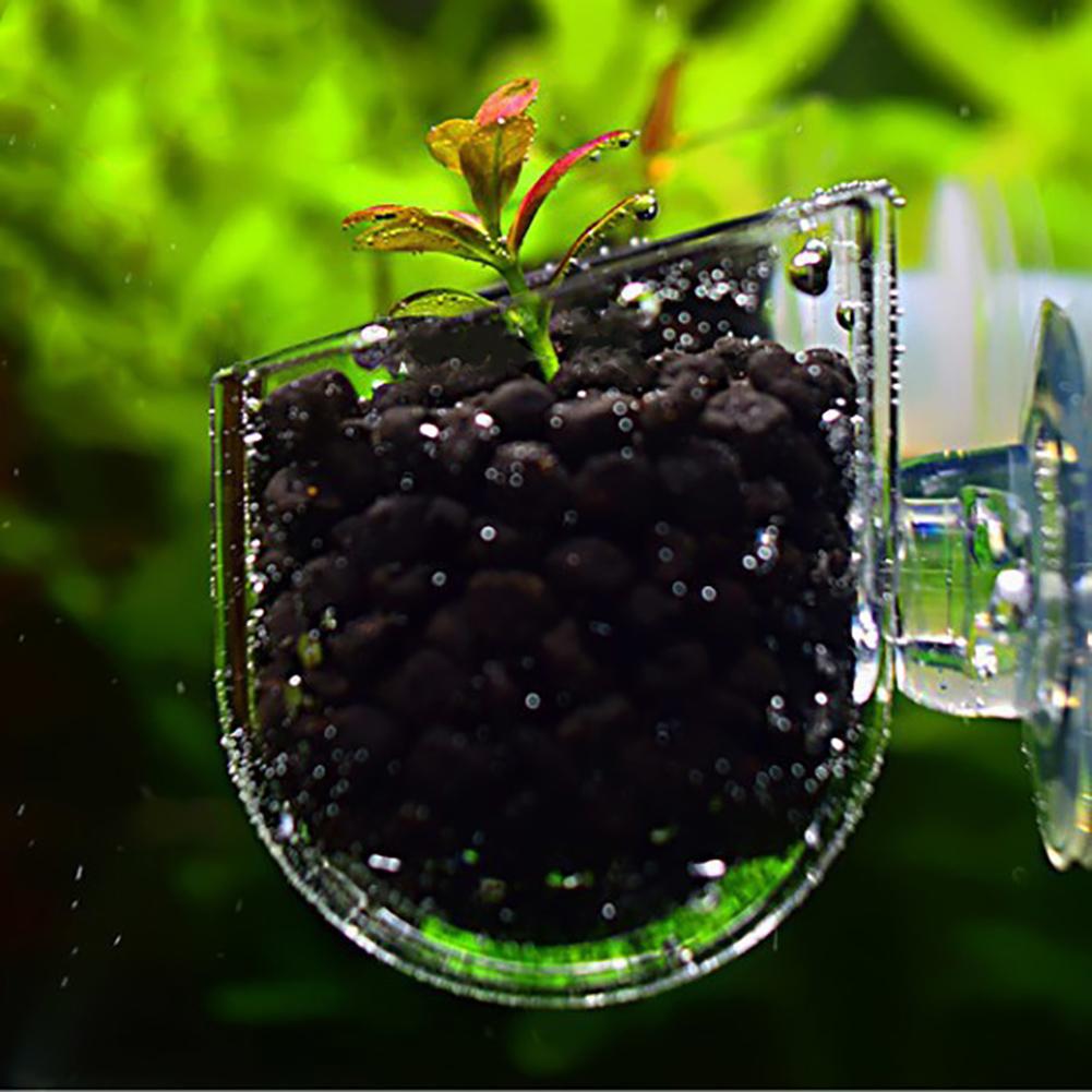 Akvariefisk akvarium glas plante kop rød orm fodring beholder indehaver akvarium tilbehør dekorativ plantning kop