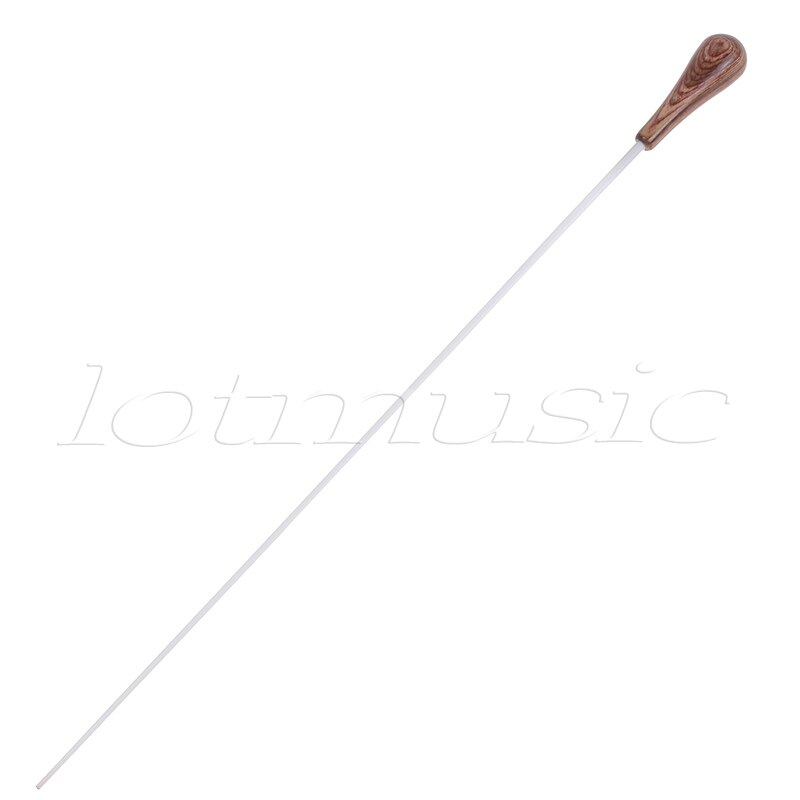 Rhythm Band Music Director Orchestra Conductor Conducting Baton Fiberglass with Case Wood