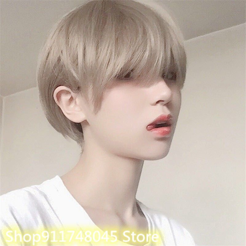 Korean Unisex Short Straight Hair Wig Full Head Wig Gray Black Cosplay