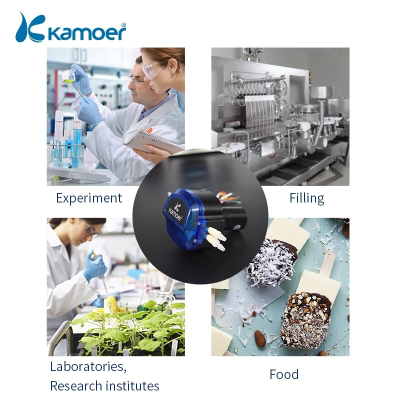 Peristaltic Pump Dosing Pump 12V DC, Brush DC motor for Lab