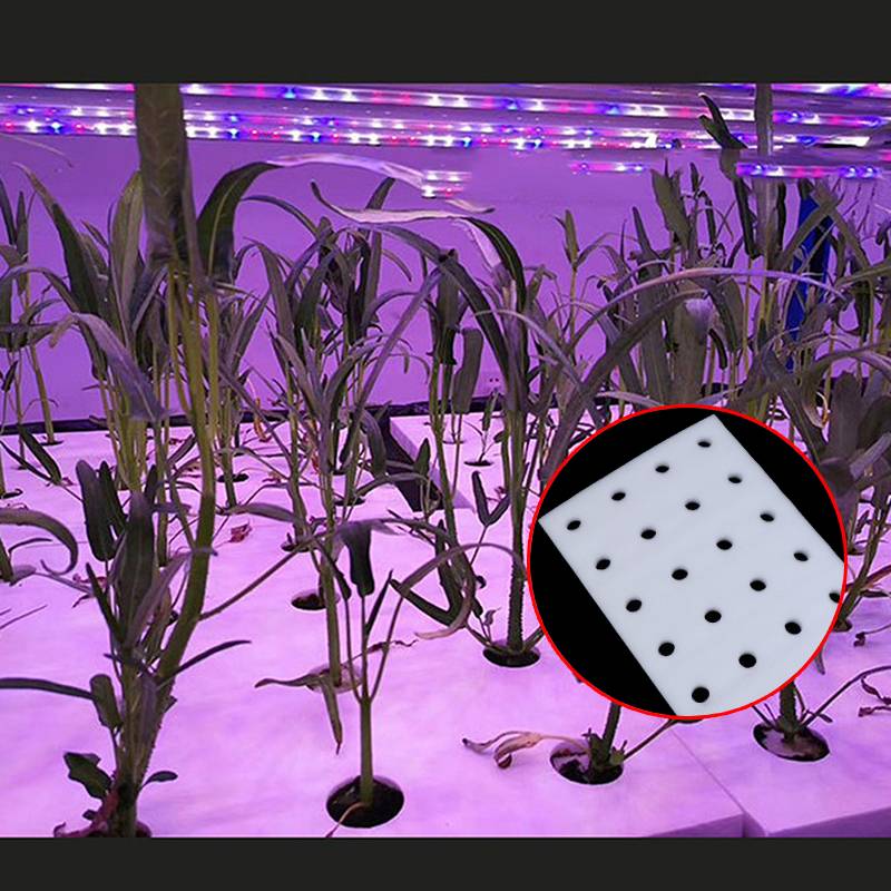 Hydroponic Vegetable Floating Board Soilless Cultivation Equipment Fish And Vegetable Symbiosis Hydroponic Foam Board