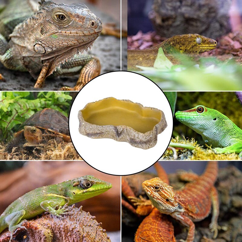 Reptile Rock Food Dish Bowl Lizard Gecko Water Dispenser Pet Bowls Anti-Escape Mini Superworm Feeder Terrarium Landscaping
