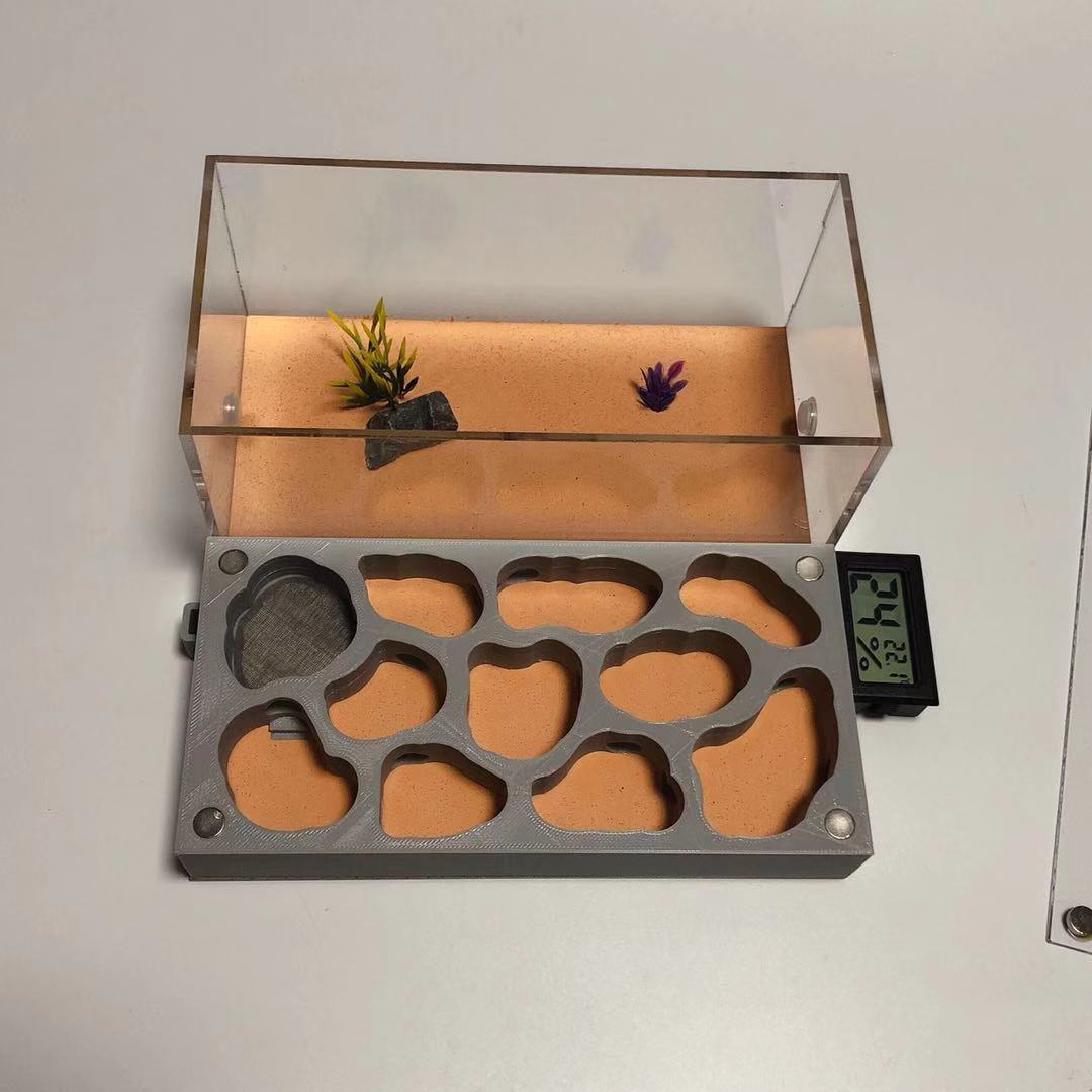 3D Nest Flat Nest Series Acrylic Ant Nest Concrete Nest Ant Workshop Ant Castle Ants Farm House