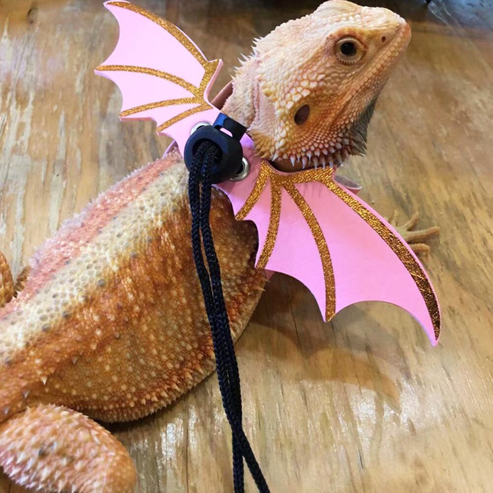 3pz corda di trazione in pelle lucertola regolabile con ali rettile guinzaglio drago barbuto imbracatura anti-morso guinzaglio forniture per animali domestici