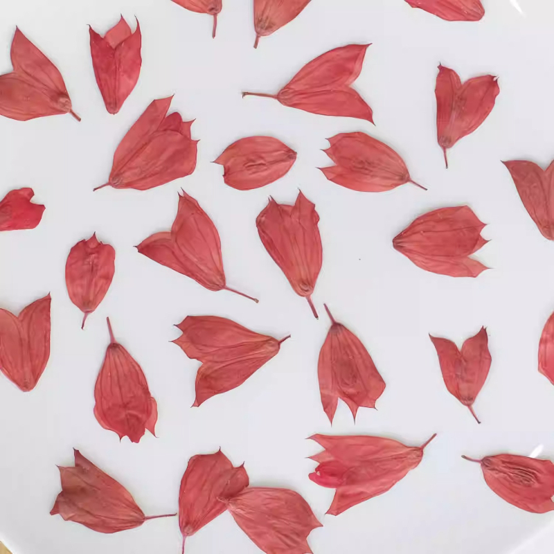 1-2 cm/40 stks, gedroogde tulp bloemknoppen geperste bloemen DIY ambachtelijke benodigdheden voor nail art, hars sieraden, telefoonhoes fotolijst decor