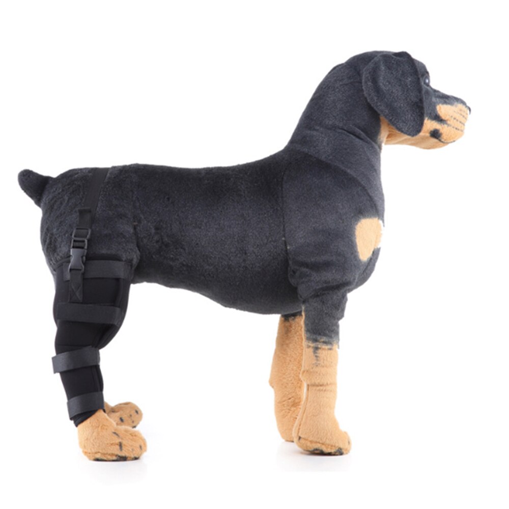 Kæledyr hund benbøjle højre / venstre bagben knæbøjle bøjle bandager stropper beskyttelse hund fælles bandage wrap hund opsving forsyninger
