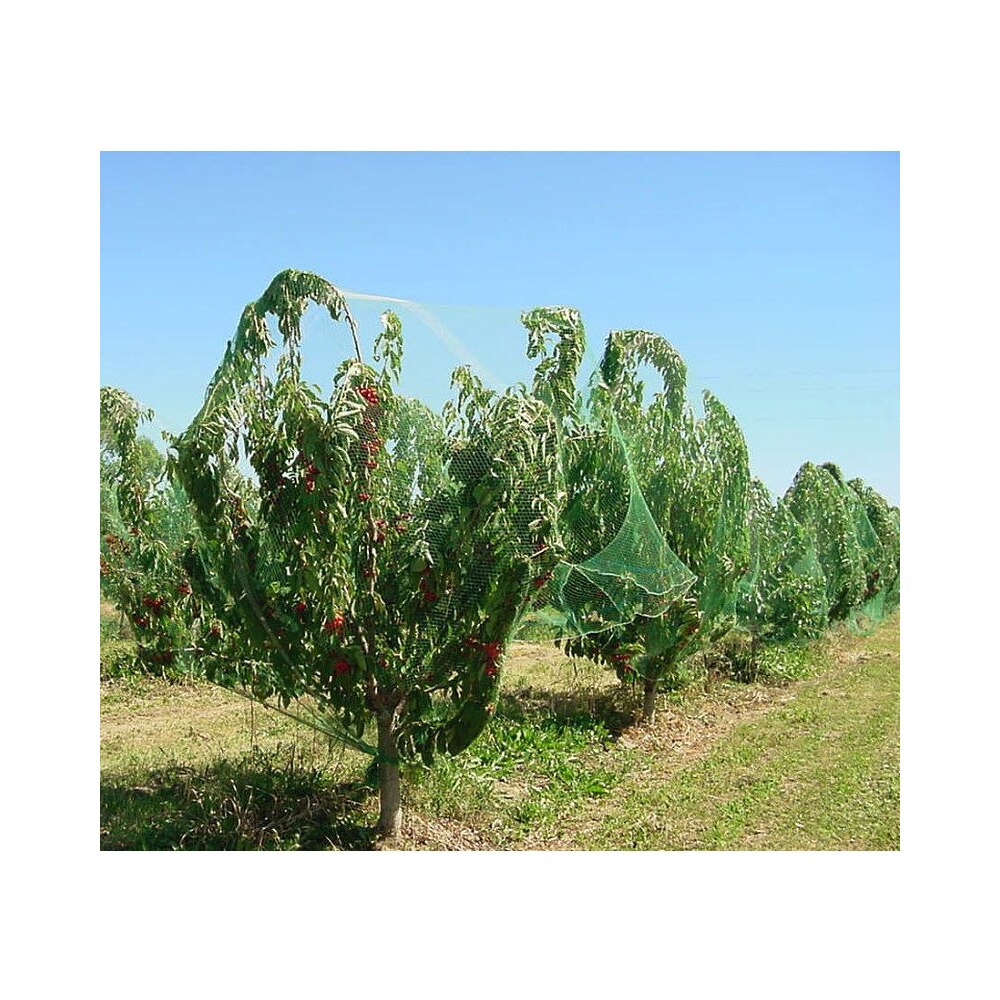 Malla antipajaros para árboles, red para pajaros multiusos, malla protección de frutas, plantas, verduras, malla multiusos