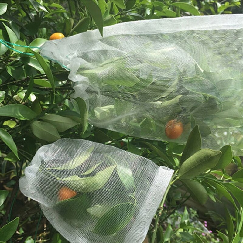 50PCS/Set Nylon Insect Mosquito Proof Net Bags Garden Fruit Tree Cover Bags Grape Fig Flower Seed Vegetable Protection Mesh Bag