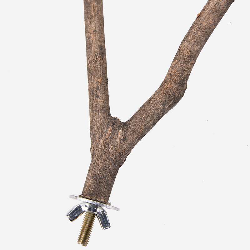 Palo de pie para mascotas, loro, pájaro, palo de madera, cacatúa, perchas, garra de mordedura, accesorios para jaulas de pájaros