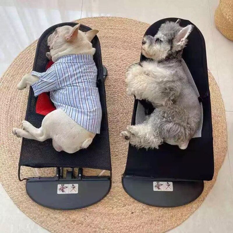 Chaise à bascule pour animaux domestiques, lit inclinable, Portable, pliable, confortable, pour chiens et chats, fournitures pour chiots et chatons