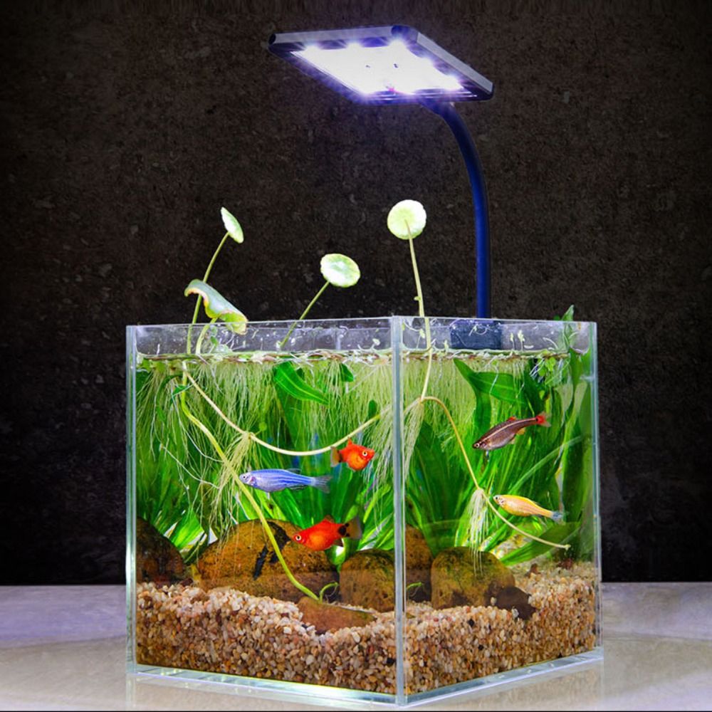 Práctico 360 ° Luz LED giratoria para acuario, luz ajustable por USB para pecera, lámpara impermeable con Clip para acuario, paisajismo