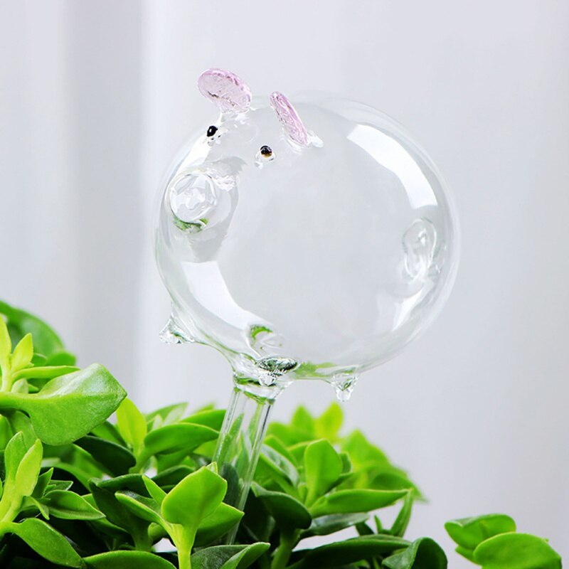 verre portable plante fleurs distributeur d'eau auto-arrosage oiseau plante abreuvoir 5 Types décor canettes d'eau: Pig