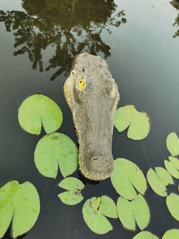 Cabeza de cocodrilo de Animal flotante para estanque de jardín, artesanía de resina, ornamento, parque, piscina, parodia de natación, decoraciones de simulación,