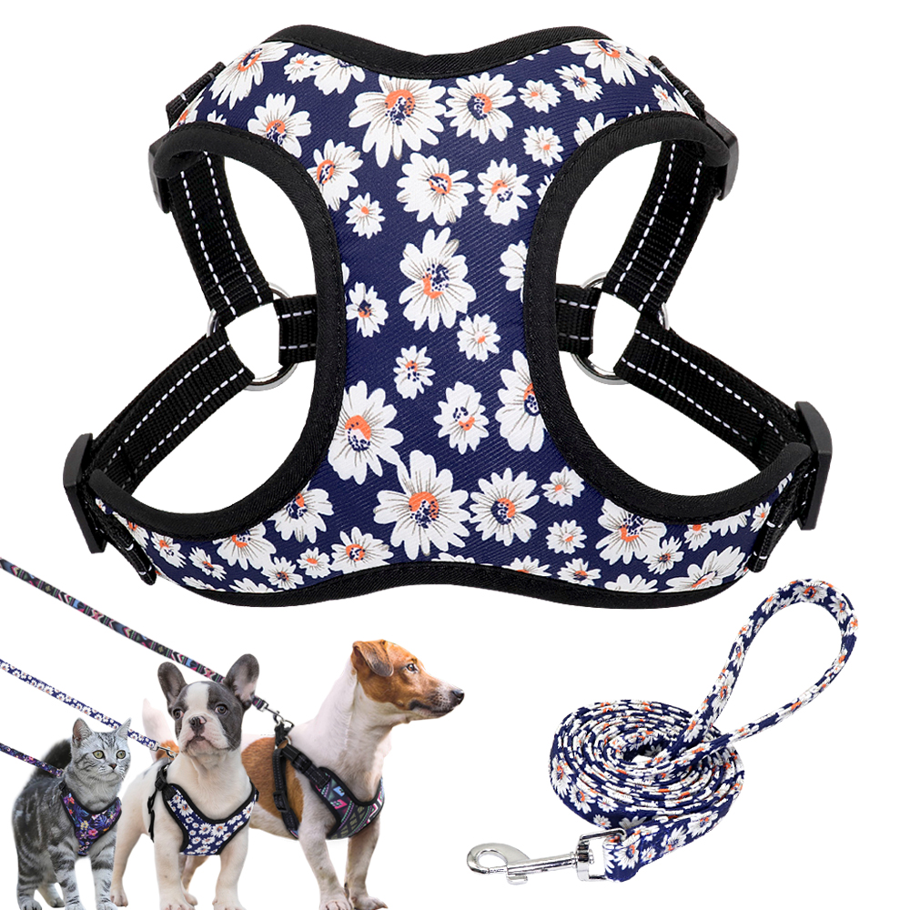 Nylon Hond Harnas Geen Pull Huisdier Harnassen en Leash Set Hond Puppy Harnas Vest Leash voor Kleine Honden Chihuahua Franse bulldog