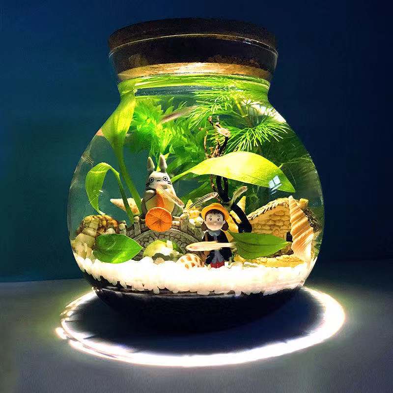 Acuario pequeño para peces, botella ecológica de vidrio para paisajismo, mirador, accesorios para acuarios