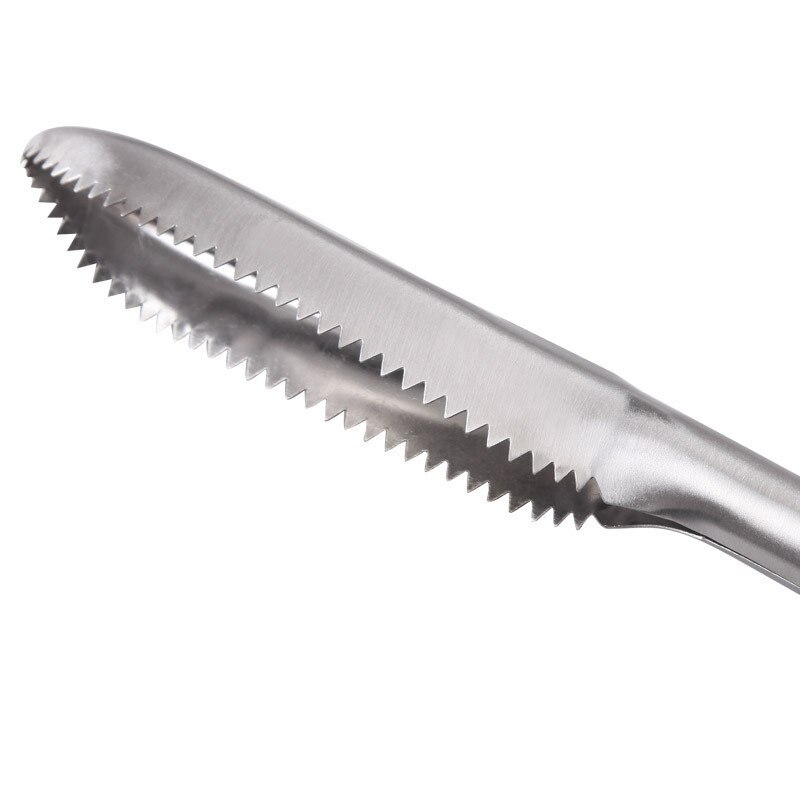 Couteau grattoir à écailles de poisson | En acier inoxydable, outils de nettoyage du poisson, brosse de nettoyage de la peau, outils de cuisine