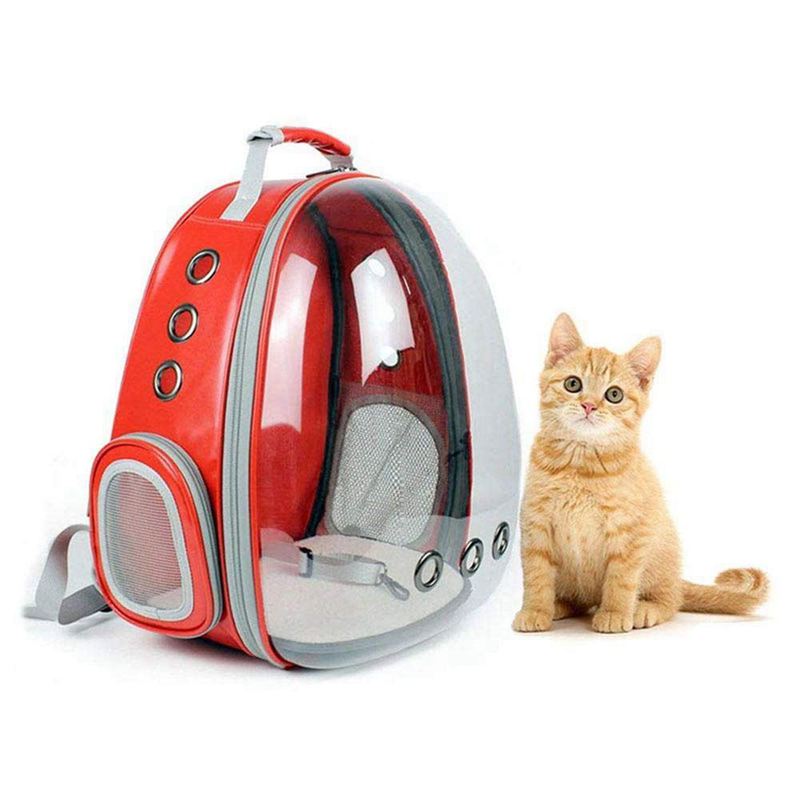 Bærbar kat hund hvalp rygsæk bærer boble rum kapsel 360 grader sightseeing kanin rygsæk håndtaske kæledyr produkt: Rød