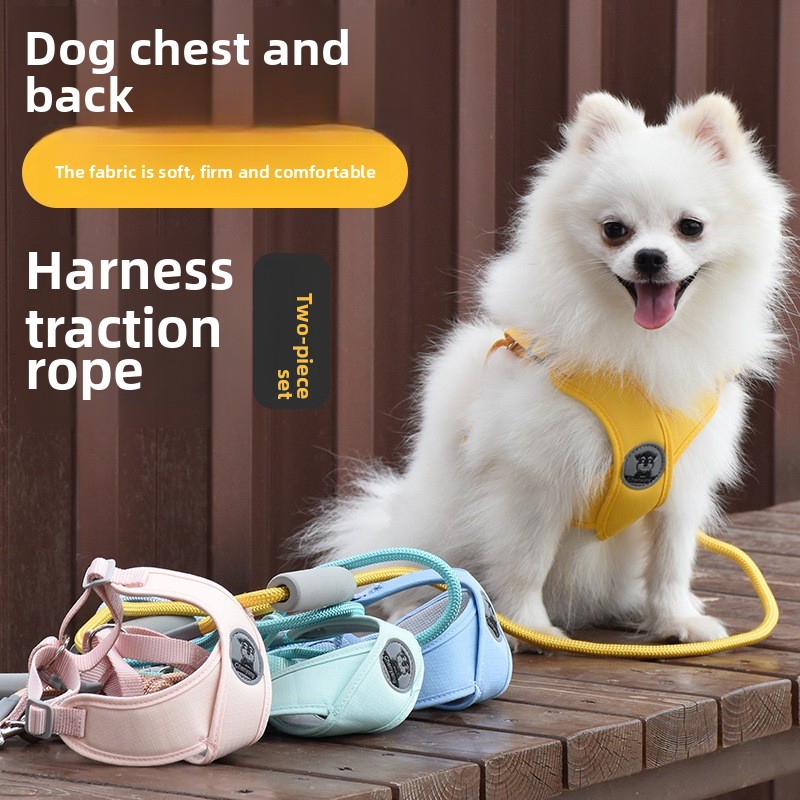 1 Uds. Correa para perro, chaleco, correa para el pecho, collar para perro pequeño, oso de peluche Pompeii, correa para perro mediano, cadena para perro