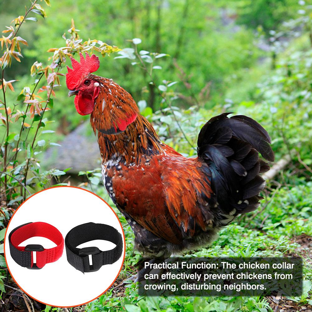 2 Stuks Kip Kraag Geen-Kraai Haan Kraag Fowl Nekband Accessoires Voor Pluimvee Noise Gratis Anti-Haak nekband