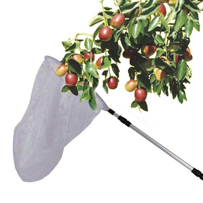 Filet de pêche à poignée télescopique en alliage d&#39;aluminium, filet à insectes pour enfants, capture papillon libellule, activité de plein air pour enfants