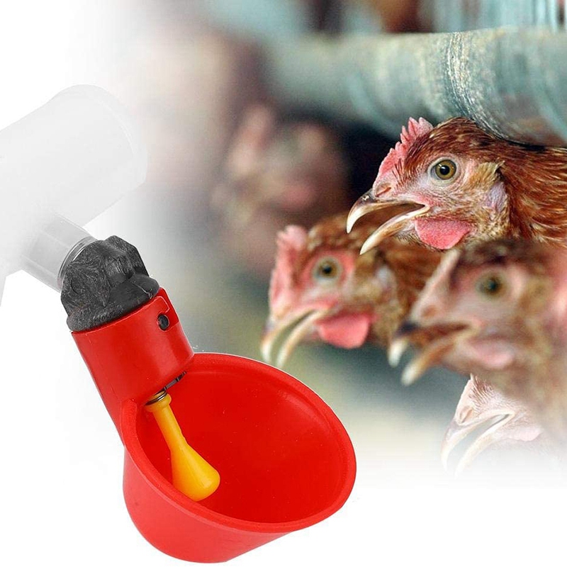 Abreuvoir automatique en plastique rouge, 10 pièces, pour poulet, canard, oiseau, caille, Pigeon, poule