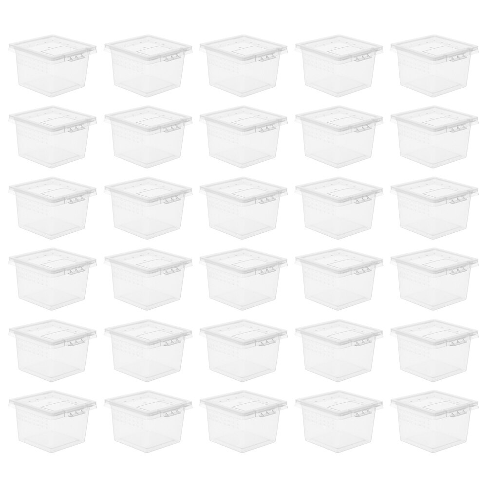 100Stck transparent Schlange Tausendfüßler Spinne Insekt Käfige Container