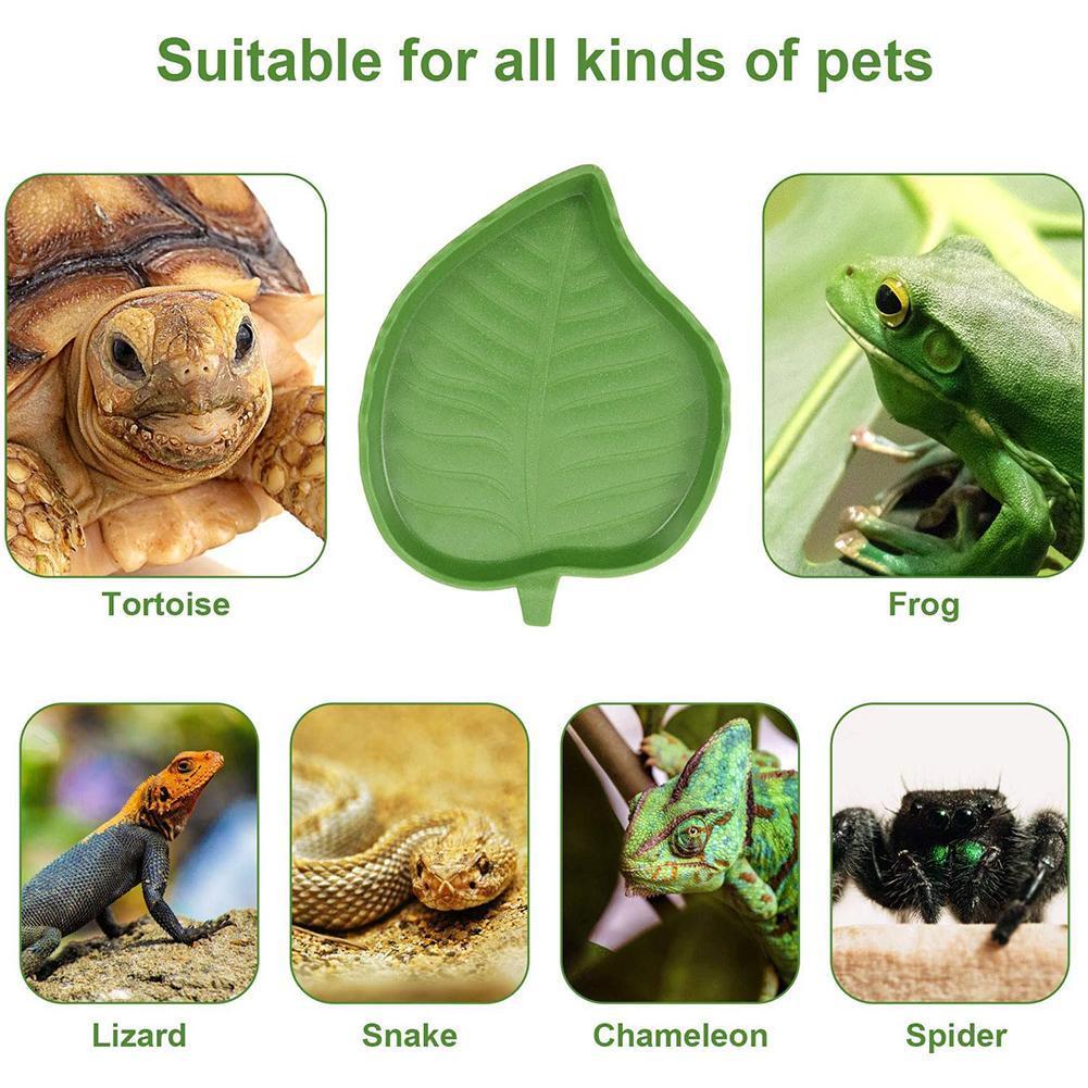 Hoekboomtak voor reptielen, reptielen, boomtak, terrariumdecoratie, met zuignappen voor amfibieën, hagedis en slang