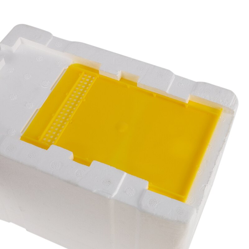 Bee Hive Beekeeping King Box Pollination Box Foam Frames Beekeeping Tool Kit