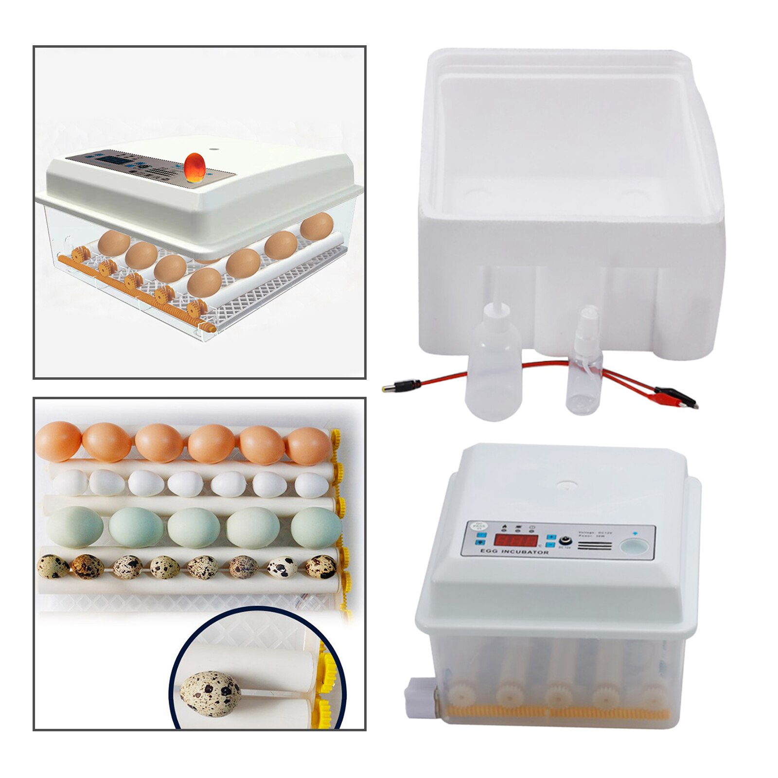 Incubateur d'œufs pouvant contenir 16/36 œufs; Retourneur d'œufs automatique pour l'éclosion. Couveuse pour oiseaux, volaille, poussin Éclosion de poulet caille d'oie: 16 Eggs