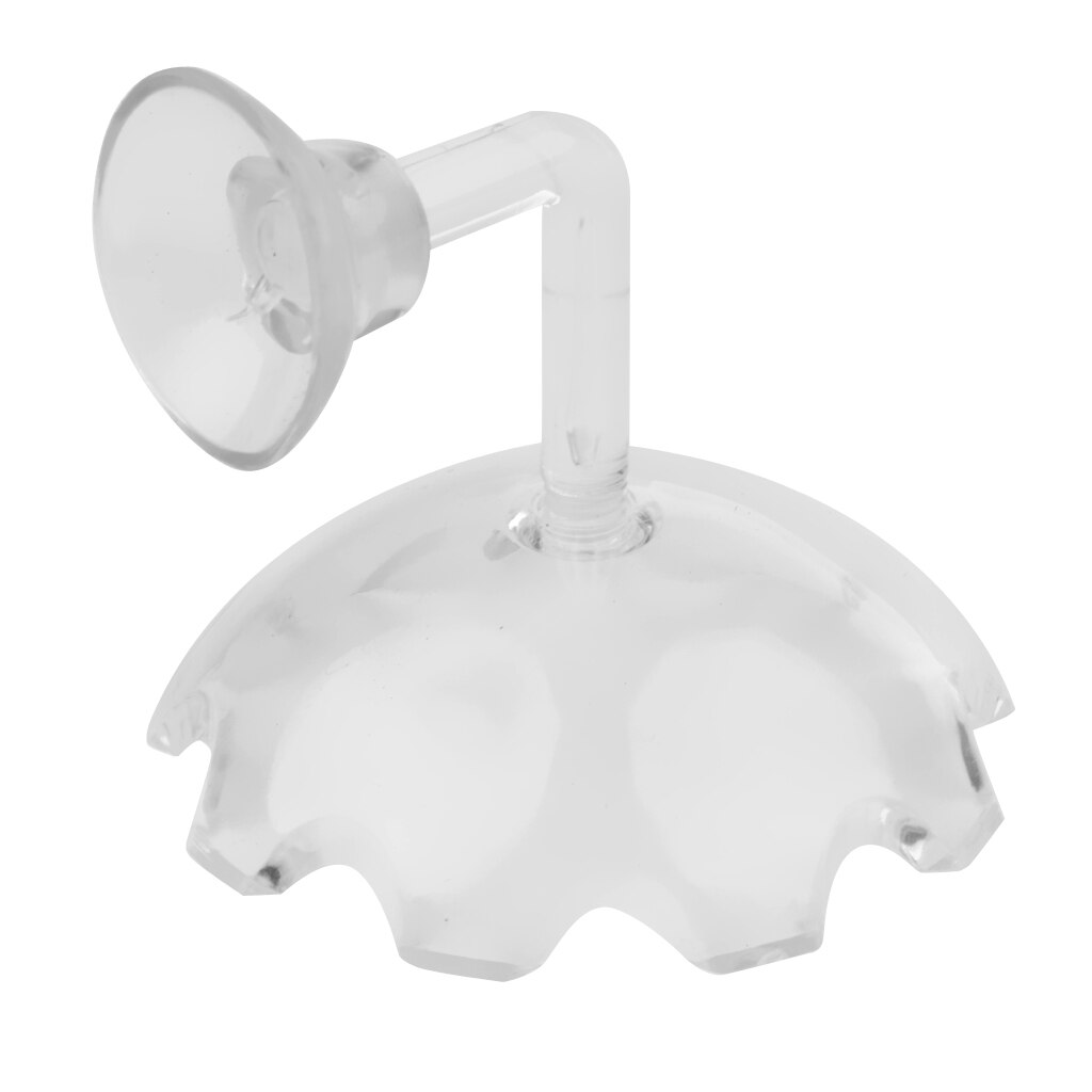 Shrimp Feeding Food Dish Tray Acrylic Glass Shrimps Feeder Dish For Aquarium