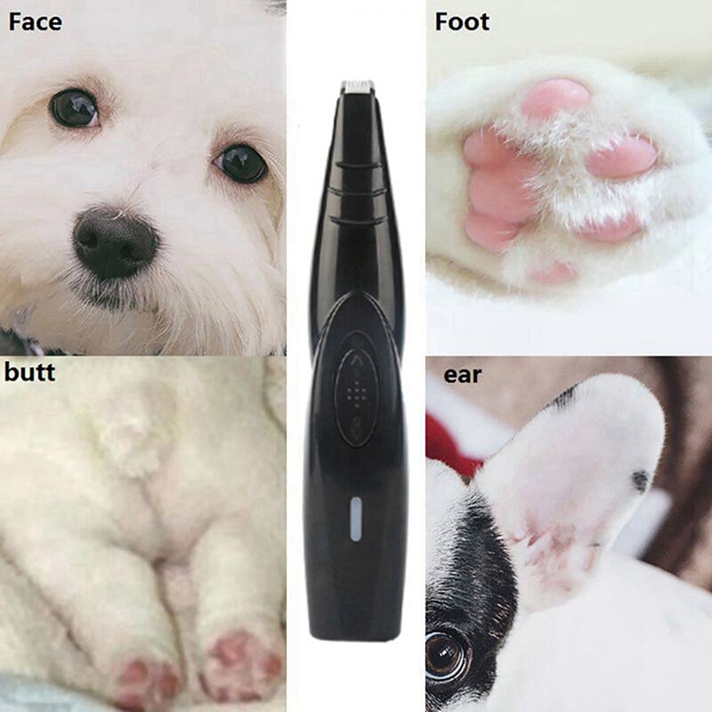 Tondeuse professionnelle pour chien USB | Rasoir pour animal de compagnie, outil de toilettage pour chien, fournitures pour animaux de compagnie, tondeuse pour cheveux de chien,