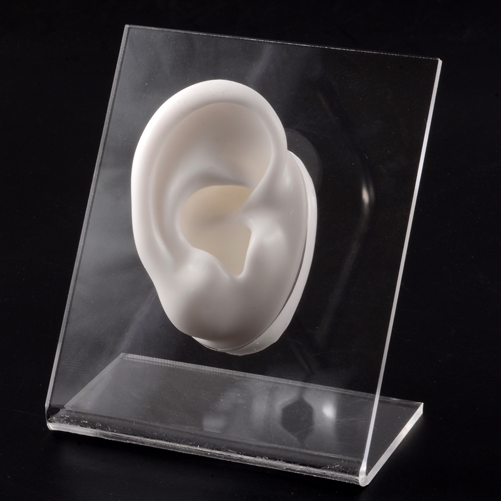 Modello di naso dell&#39;orecchio in Silicone con bordo trasparente pratica professionale piercing strumenti orecchini orecchini a bottone Display può essere riutilizzato gioielli: White Right