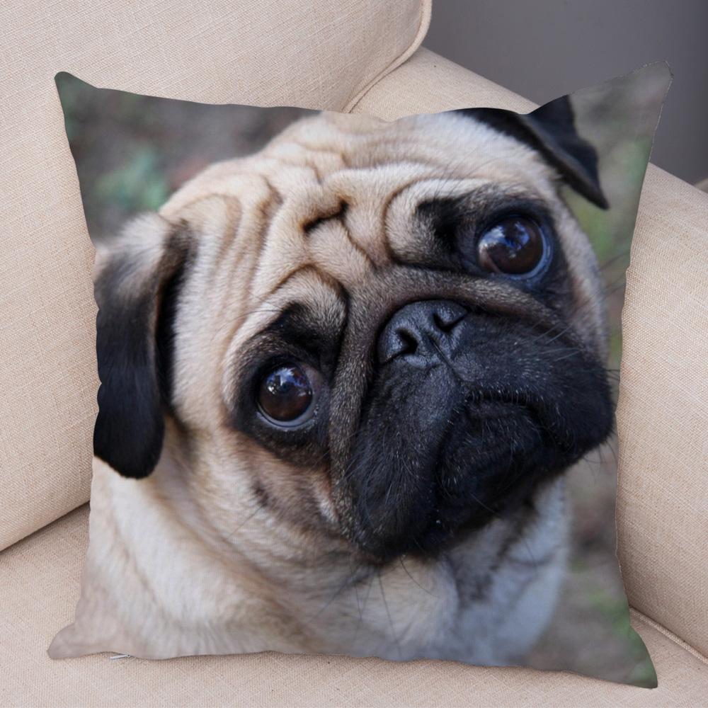 Housse de coussin carlin mignonne, oreiller décoratif imprimé pour animaux de compagnie, pour voiture, canapé, maison, en Polyester