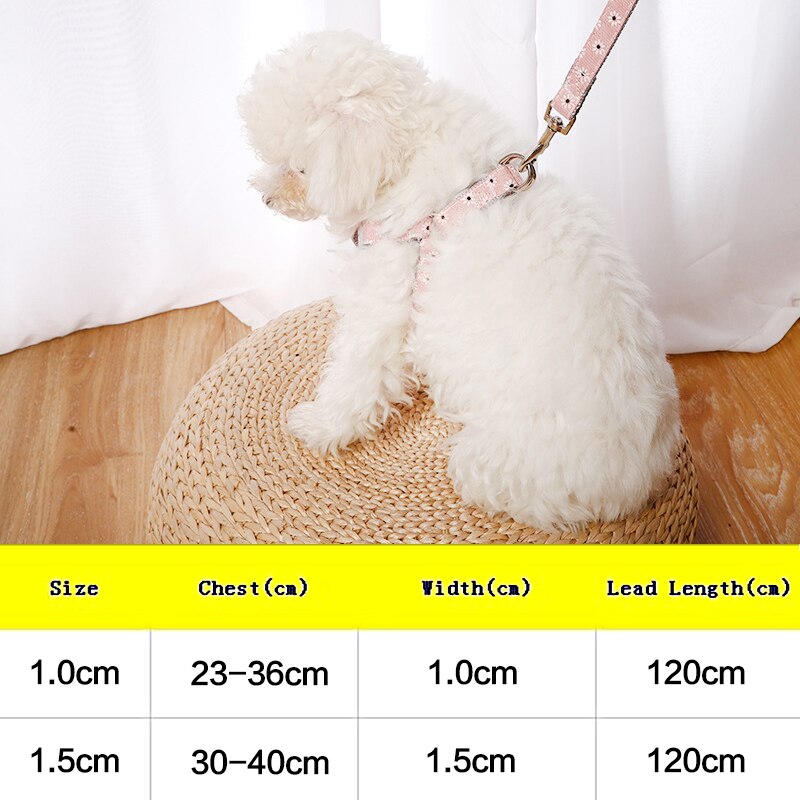 Arnés para perro o gato ajustable, correa de chaleco, Collar para cachorro, Outdoor para perros pequeños, caminar para cachorro, perro pequeño de raza Chihuahua