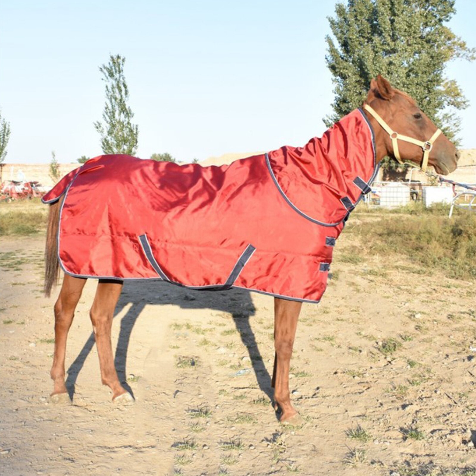 Waterproof Thermal Horse Turnout Sheet Equestrian Blanket Coat Equine Warmer: Red 145cm