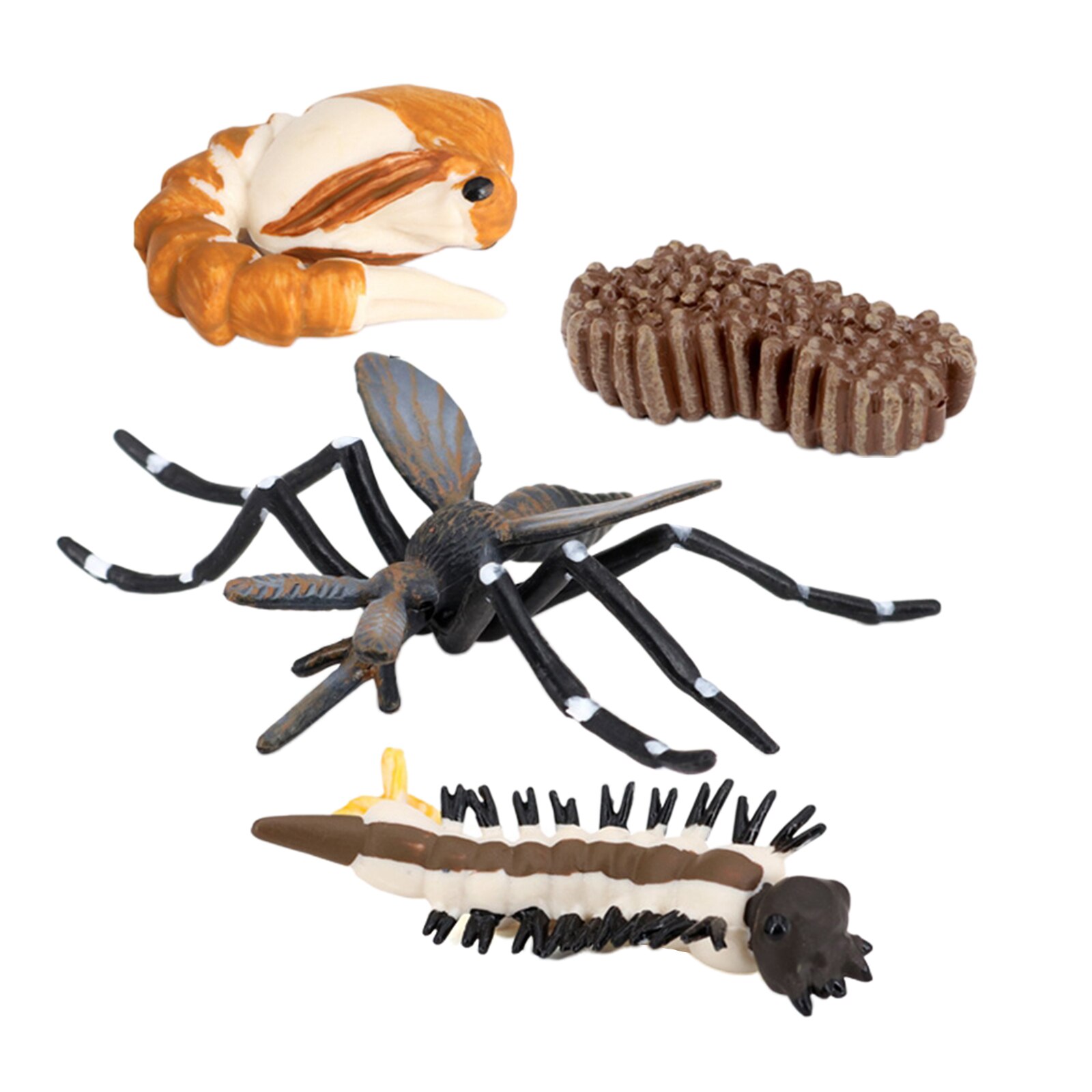 Insect Mosquito Lore Life Cycle - 4 Pcs Insect Figure Shows Life of Lady Bug