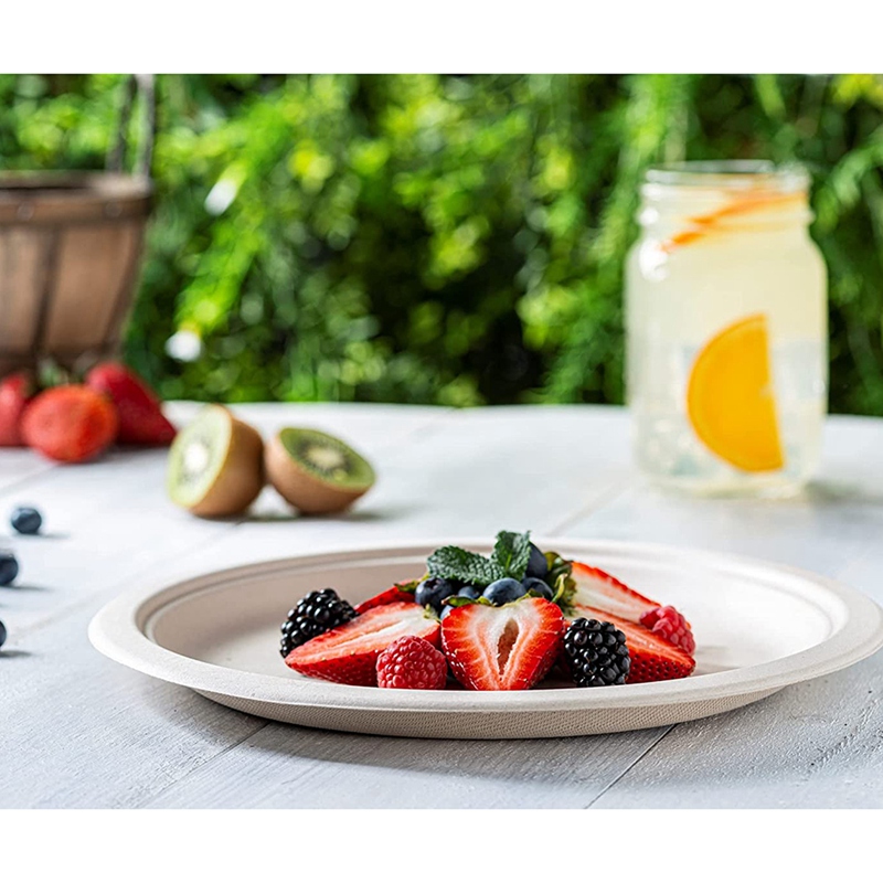 Compostable Heavy-Duty Plates Eco-Friendly Disposable Sugarcane Paper Plates Biodegradable Plates