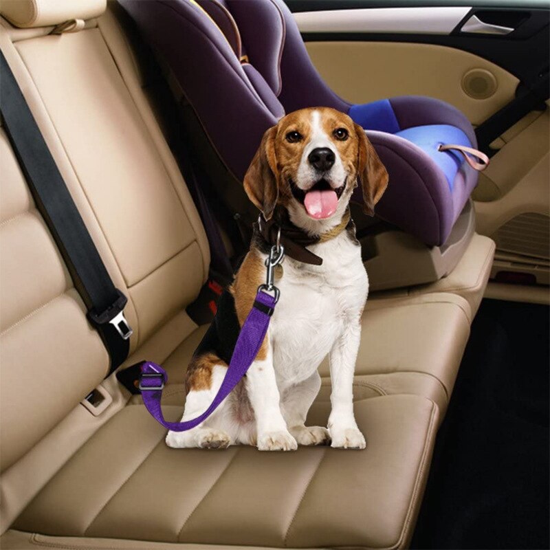 Hundehalsbånd fører køretøj bil hund sikkerhedssele kæledyr hunde bil sikkerhedssele sele bly klips sikkerhed håndtag auto trækkraft produkter