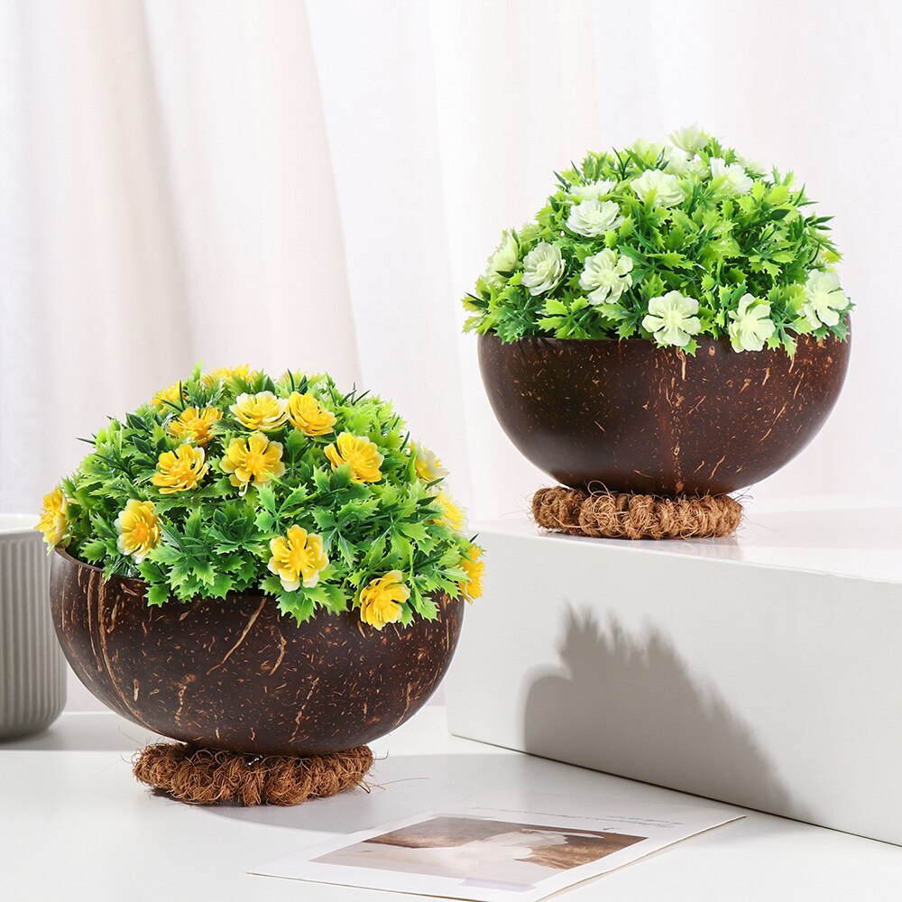 Wooden LeakProof Coconut Bowl Set Big Coconut Bowl Smoothie Cups Natural Coconut Acai Bowl Spoons Home Decoration Crafts