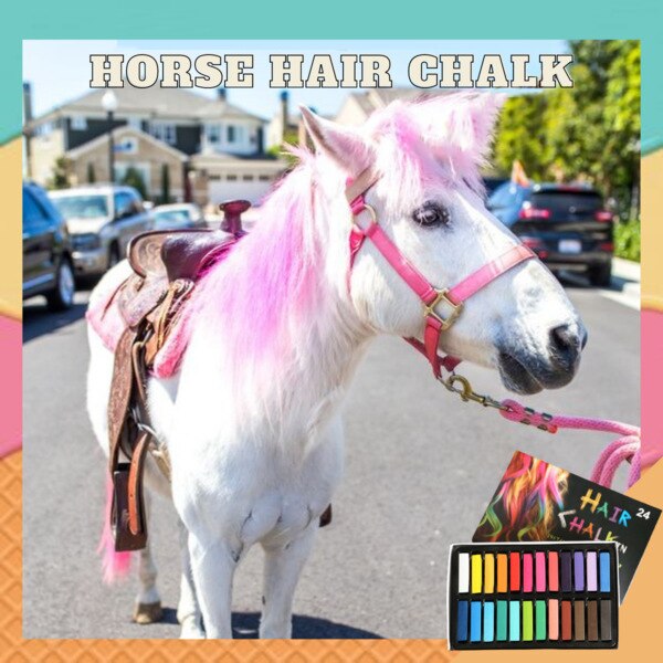 Horse Hair Chalk Temporary Washable Hair Coloring Dyeing Chalk Easy to Color HUG-Deals