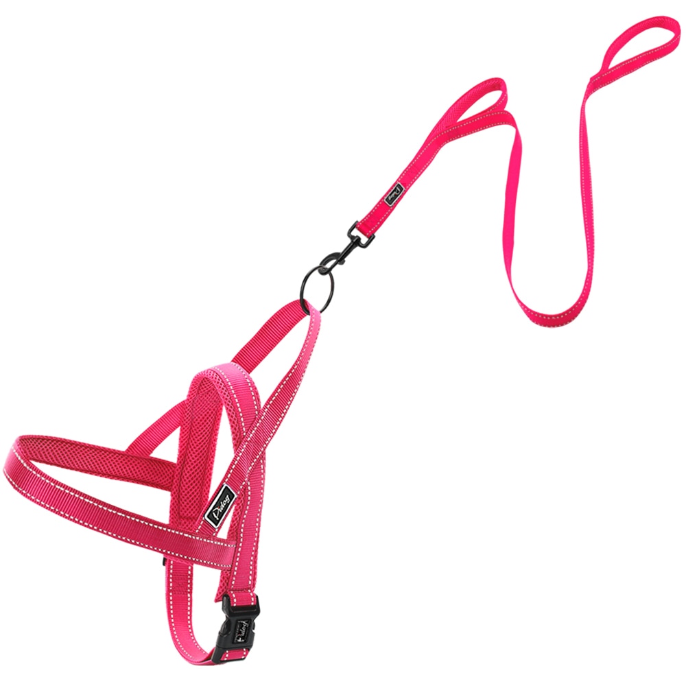 Conjunto de Correa y arnés reflectante sin tirones para perro, chaleco para mascotas de plomo para perros pequeños y grandes, Perfecto para el entrenamiento diario XXS-L caminar: XS / Pink Set