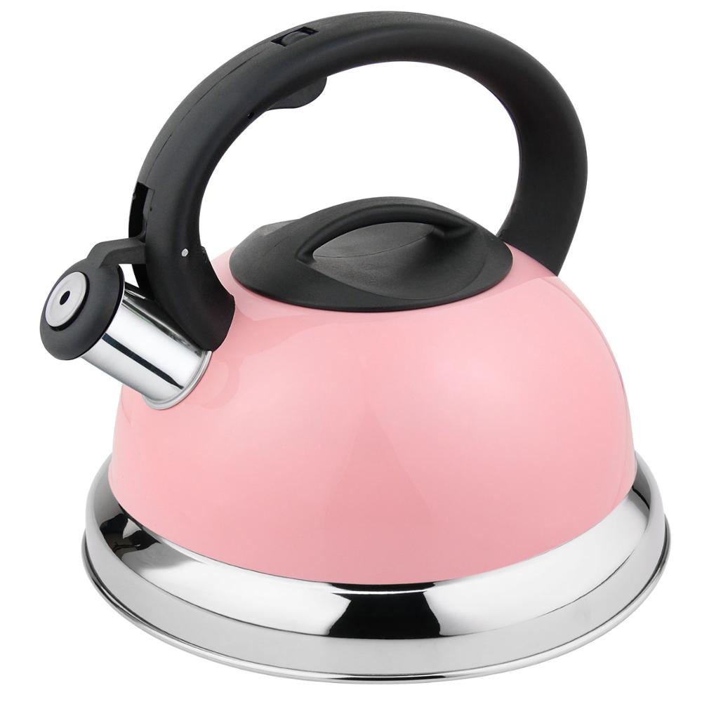 Inductie Waterkoker Kleur Coating Hittebestendige Waterkoker: Roze