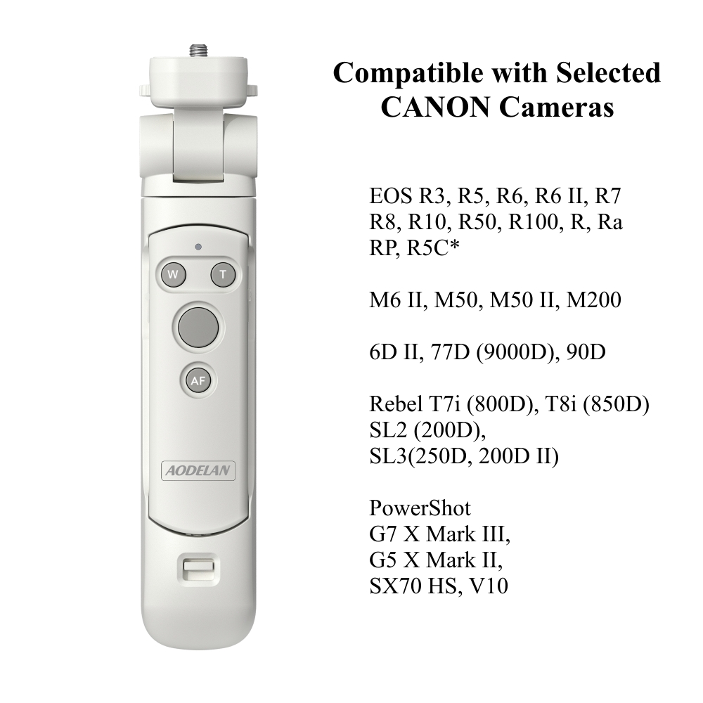 Wireless Grip Stativ Fernbedienung für Canon EOS R8 R5 77D 250D 200D 90D M200 800D M50 PowerShot SX70HS ersetzen HG-100TBR BR-E1: WHITE