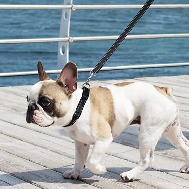 Reflective Nylon Dog Leash with Padded Handle Dogs Leashes for Walking Training Lead for Medium Large Dogs Pet Supplies