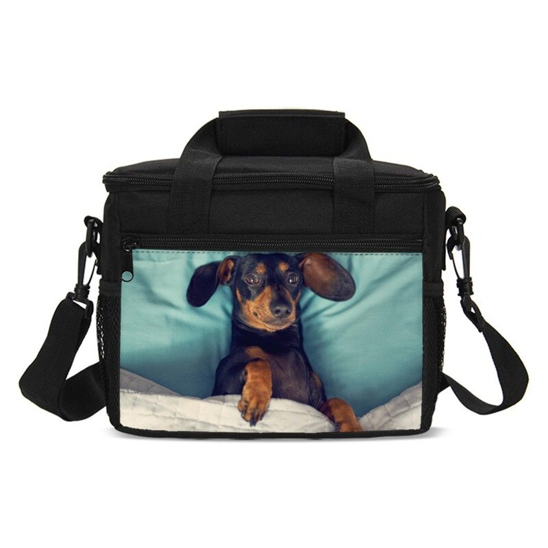 Animal Print Dachshund Sausage Dog Kawaii Kids Cooler Bag Picnic Outside Insulated Box Women Portable Lancheira Thermo Thermal: SCBU019001GZ6