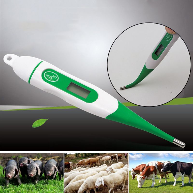 Haustier Digitale Thermometer für Genaue Erkennung Geeignet für Katzen Hunde Wasserdicht Schnelle Messwerte Haustier Oral Unterarm Werkzeug
