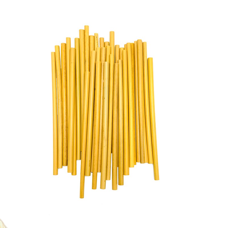 Natural Bamboo Drinking Straw Biodegradable Bamboo Straws Reusable Straw Travelling Set with Cleaning Brush Sugar Cane straw