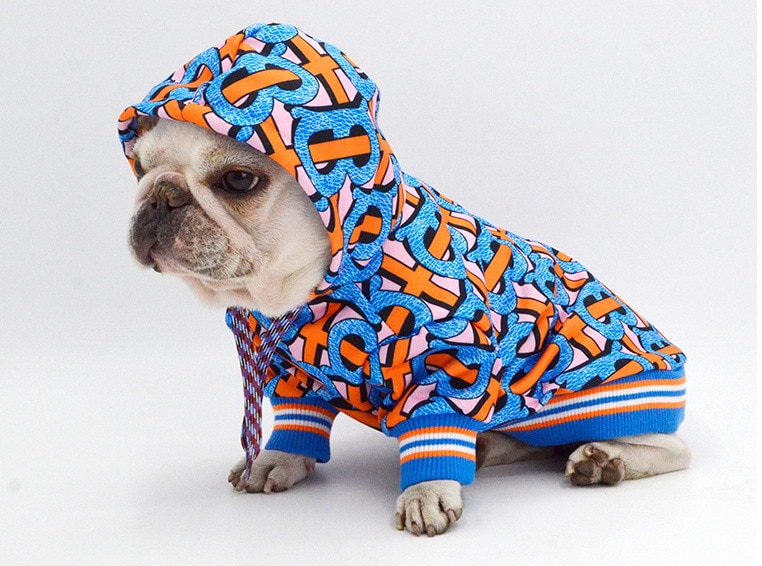 Chaqueta con capucha a juego para mascotas, ropa para perros/gatos, disfraces de perros, abrigo para gato, Bulldog Francés, chaqueta para mascotas,: XXL