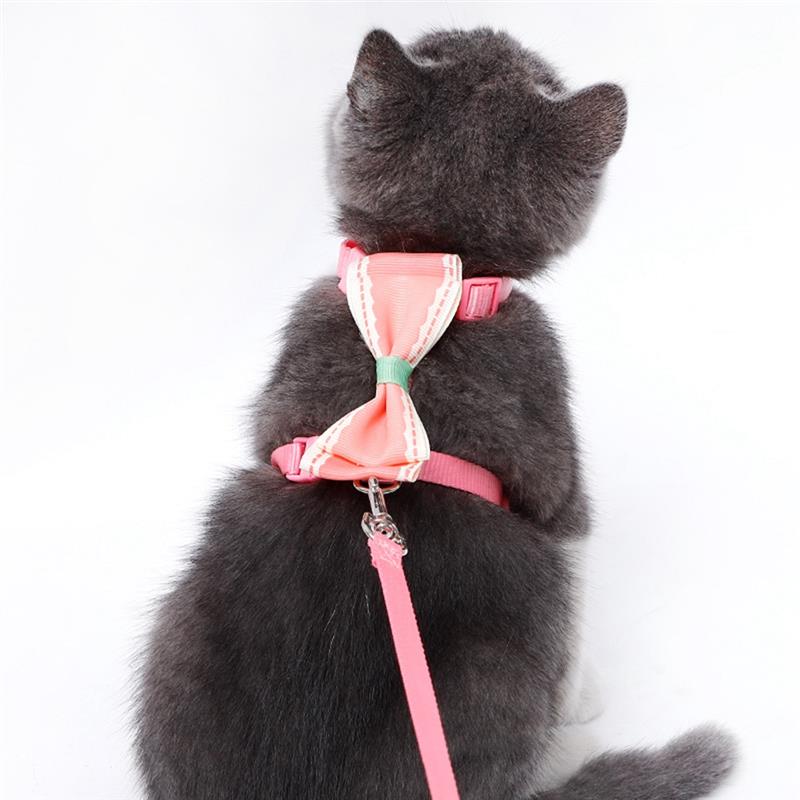 Dorakitten 1Pc Draagbare Kat Riem Leuke Strik Decor Kat Leiband Huisdier Aangelijnd Harnas Set Kleding Accessoires Dierbenodigdheden